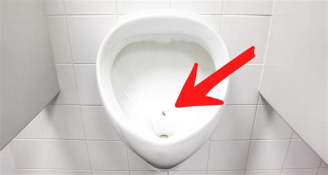 What is a 'urinal fly' and what is its purpose?